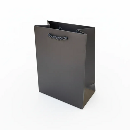 10 pcs Cheap Gift Bags