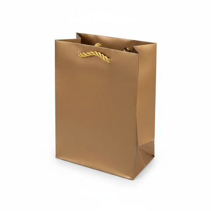 10 pcs Cheap Gift Bags