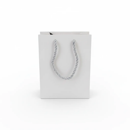 10 pcs Cheap Gift Bags